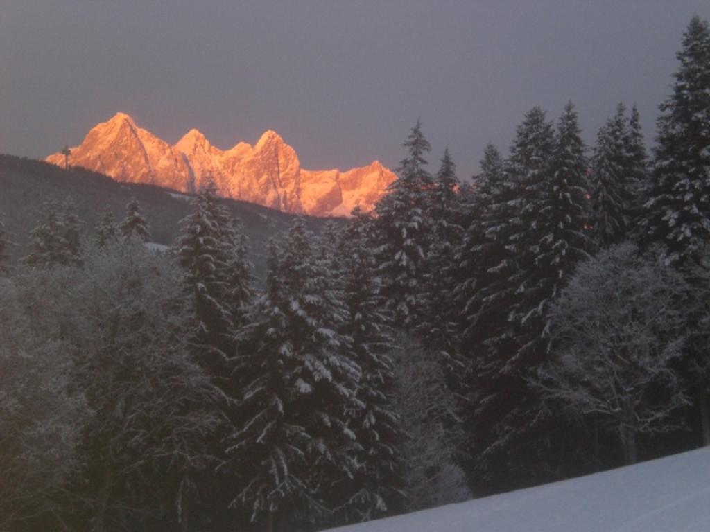 Apartmán Lochgrubgut Altenmarkt im Pongau Exteriér fotografie
